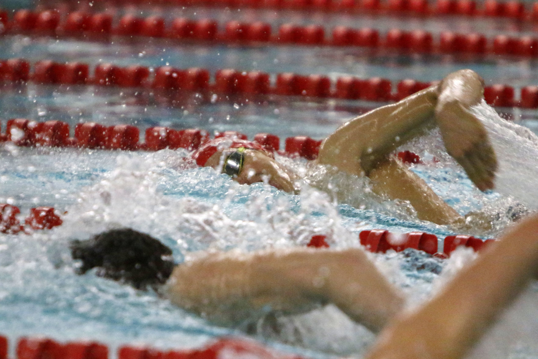 Gallery: NCC swim meet